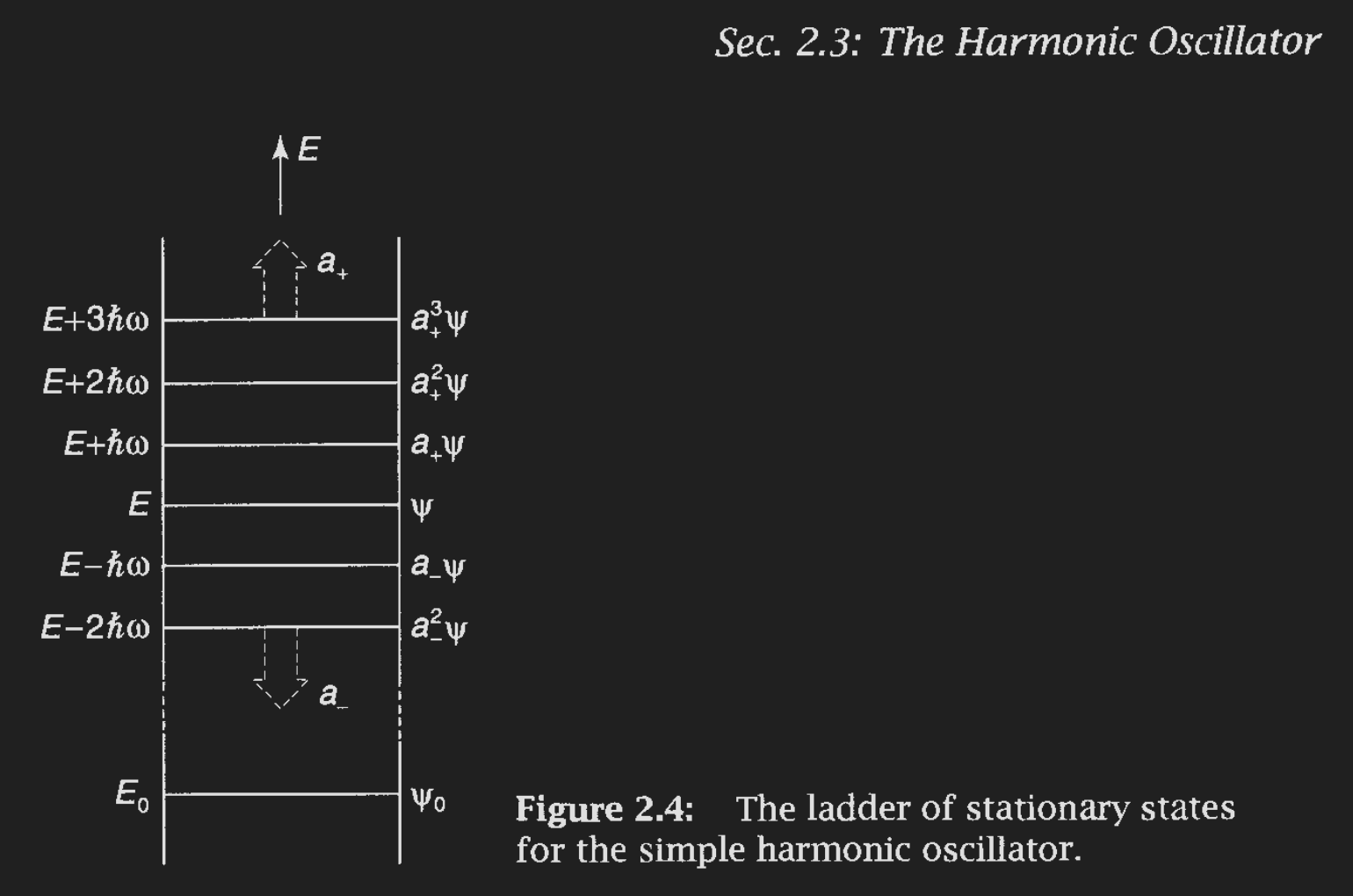 Screenshot 2026-01-01 at 11.47.41 AM.png